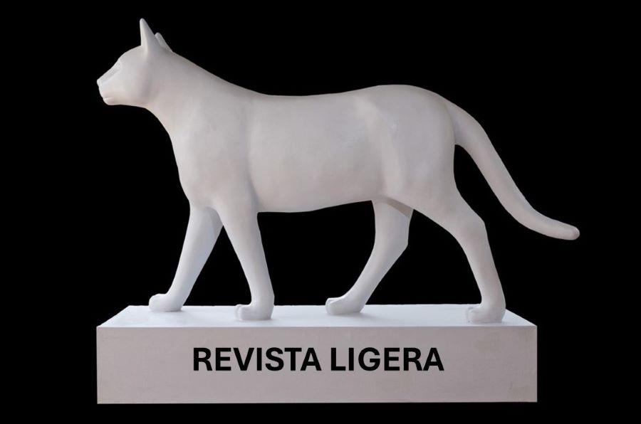 Revista Ligera